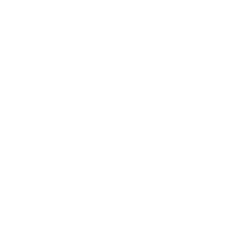 Logo mon wordpress